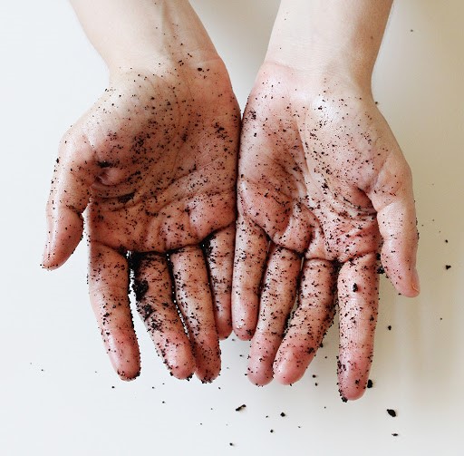 برندهای اسکراب بدن