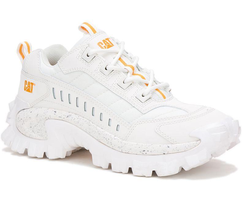 کفش زنانه Cat