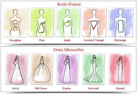 body shapes